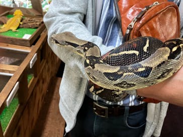 体感型動物園iZooに投稿された画像（2022/5/19）