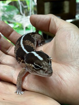 体感型動物園iZooに投稿された画像（2022/5/19）