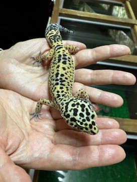 体感型動物園iZooに投稿された画像（2022/5/19）