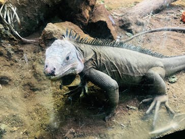 体感型動物園iZooに投稿された画像（2022/5/19）