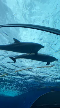 横浜・八景島シーパラダイスに投稿された画像（2022/5/19）