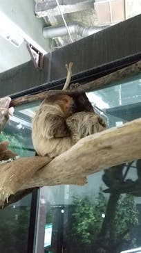 カワスイ 川崎⽔族館に投稿された画像（2022/5/19）