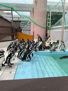 株式会社Gに投稿された画像（2022/5/19）