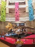 国立科学博物館　特別企画展「ポケモン化石博物館」に投稿された画像（2022/5/20）