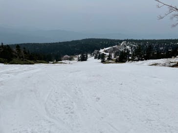 横手山・渋峠スキー場に投稿された画像（2022/5/20）