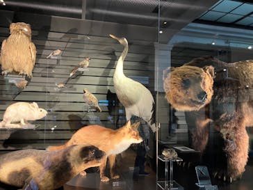 国立科学博物館　特別企画展「ポケモン化石博物館」に投稿された画像（2022/5/20）