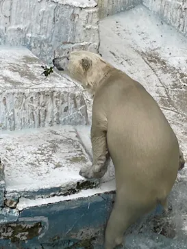 天王寺動物園に投稿された画像（2022/5/20）