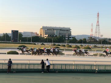 園田競馬場に投稿された画像（2022/5/20）