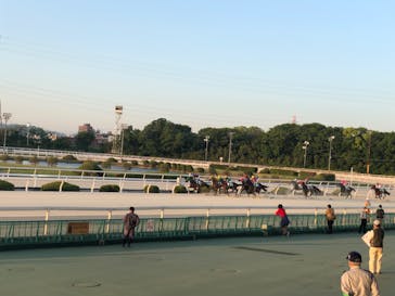 園田競馬場に投稿された画像（2022/5/20）