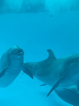 南知多ビーチランド＆南知多おもちゃ王国に投稿された画像（2022/5/20）