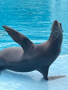 南知多ビーチランド＆南知多おもちゃ王国に投稿された画像（2022/5/20）