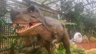 ナゴパイナップルパークに投稿された画像（2022/5/20）