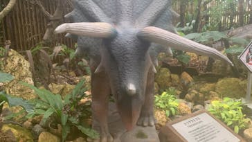 ナゴパイナップルパークに投稿された画像（2022/5/20）