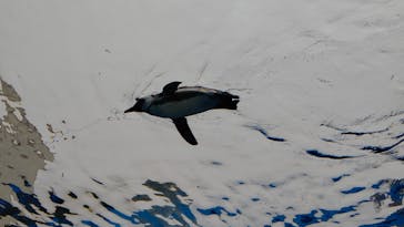 サンシャイン水族館に投稿された画像（2022/5/20）