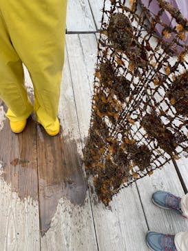 真珠工房 真珠の里に投稿された画像（2022/5/20）