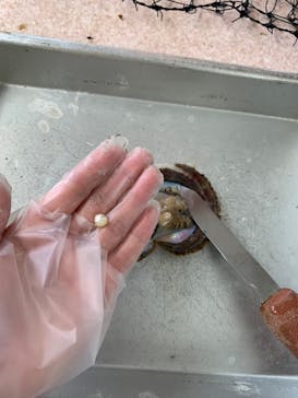 真珠工房 真珠の里に投稿された画像（2022/5/20）