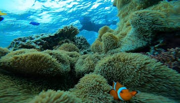 宮古島 ADVENTURE PiPi（ミヤコジマ アドベンチャー ピピ）に投稿された画像（2022/5/20）