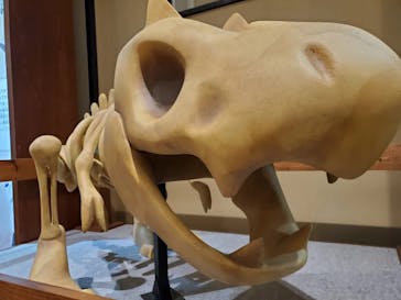 国立科学博物館　特別企画展「ポケモン化石博物館」に投稿された画像（2022/5/20）