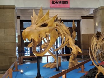 国立科学博物館　特別企画展「ポケモン化石博物館」に投稿された画像（2022/5/20）