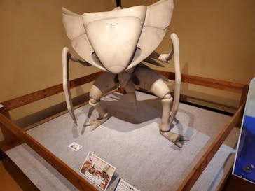 国立科学博物館　特別企画展「ポケモン化石博物館」に投稿された画像（2022/5/20）