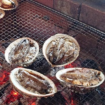 海女小屋体験施設さとうみ庵に投稿された画像（2022/5/20）