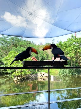 ネオパークオキナワに投稿された画像（2022/5/20）