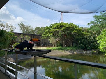 ネオパークオキナワに投稿された画像（2022/5/20）