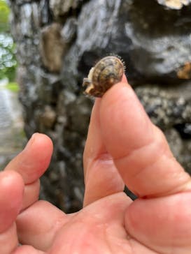 今帰仁城跡に投稿された画像（2022/5/20）