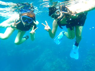 石垣島 ADVENTURE PiPi（イシガキジマアドベンチャーピピ）に投稿された画像（2022/5/20）