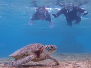 宮古島 ADVENTURE PiPi（ミヤコジマ アドベンチャー ピピ）に投稿された画像（2022/5/20）