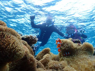 宮古島 ADVENTURE PiPi（ミヤコジマ アドベンチャー ピピ）に投稿された画像（2022/5/20）