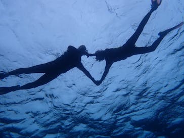 宮古島 ADVENTURE PiPi（ミヤコジマ アドベンチャー ピピ）に投稿された画像（2022/5/20）