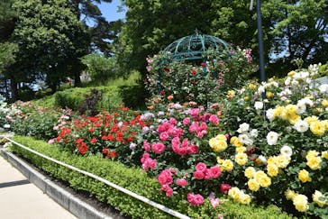 西武園ゆうえんちに投稿された画像（2022/5/20）