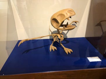 国立科学博物館　特別企画展「ポケモン化石博物館」に投稿された画像（2022/5/20）