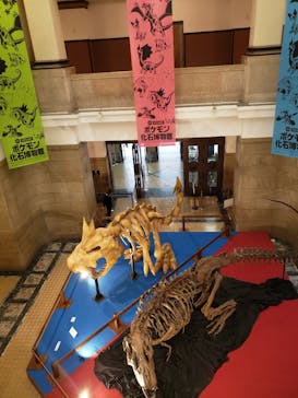 国立科学博物館　特別企画展「ポケモン化石博物館」に投稿された画像（2022/5/20）