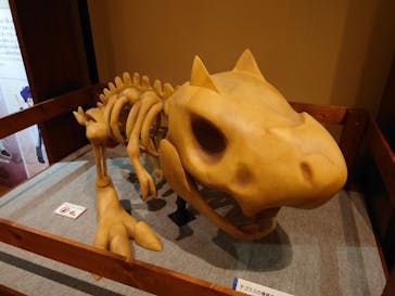 国立科学博物館　特別企画展「ポケモン化石博物館」に投稿された画像（2022/5/20）