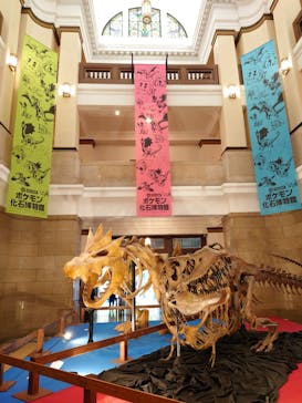国立科学博物館　特別企画展「ポケモン化石博物館」に投稿された画像（2022/5/20）