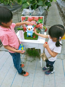 いのさんの観光農園に投稿された画像（2022/5/20）