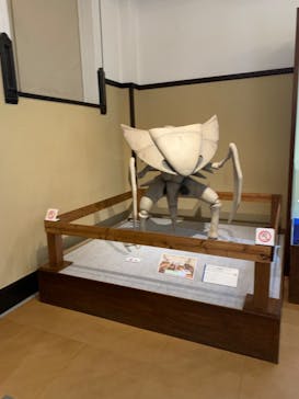 国立科学博物館　特別企画展「ポケモン化石博物館」に投稿された画像（2022/5/21）
