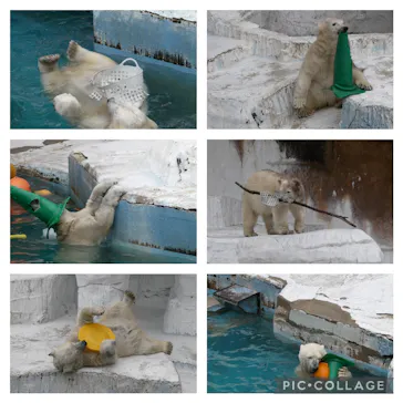 天王寺動物園に投稿された画像（2022/5/21）