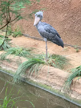 神戸どうぶつ王国に投稿された画像（2022/5/21）