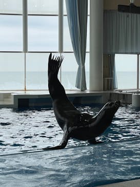 アクアワールド茨城県大洗水族館に投稿された画像（2022/5/21）