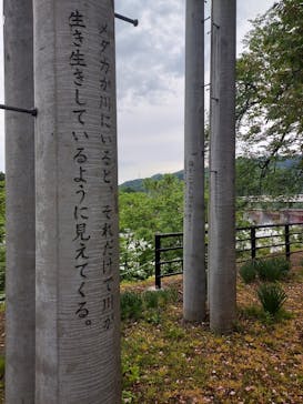 大地の芸術祭 実行委員会に投稿された画像（2022/5/21）