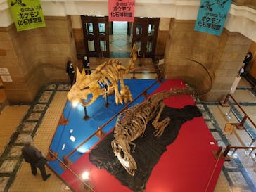 国立科学博物館　特別企画展「ポケモン化石博物館」に投稿された画像（2022/5/21）