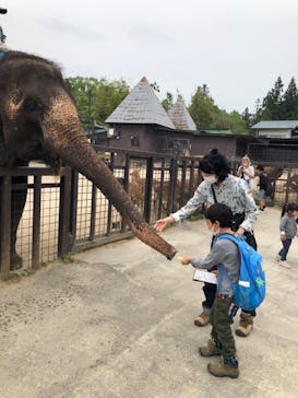 那須サファリパークに投稿された画像（2022/5/21）