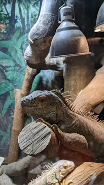 天王寺動物園に投稿された画像（2022/5/21）