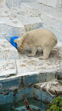 天王寺動物園に投稿された画像（2022/5/21）