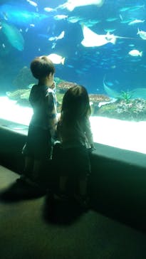 サンシャイン水族館に投稿された画像（2022/5/21）