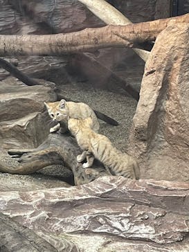 那須どうぶつ王国に投稿された画像（2022/5/21）