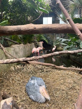 那須どうぶつ王国に投稿された画像（2022/5/21）